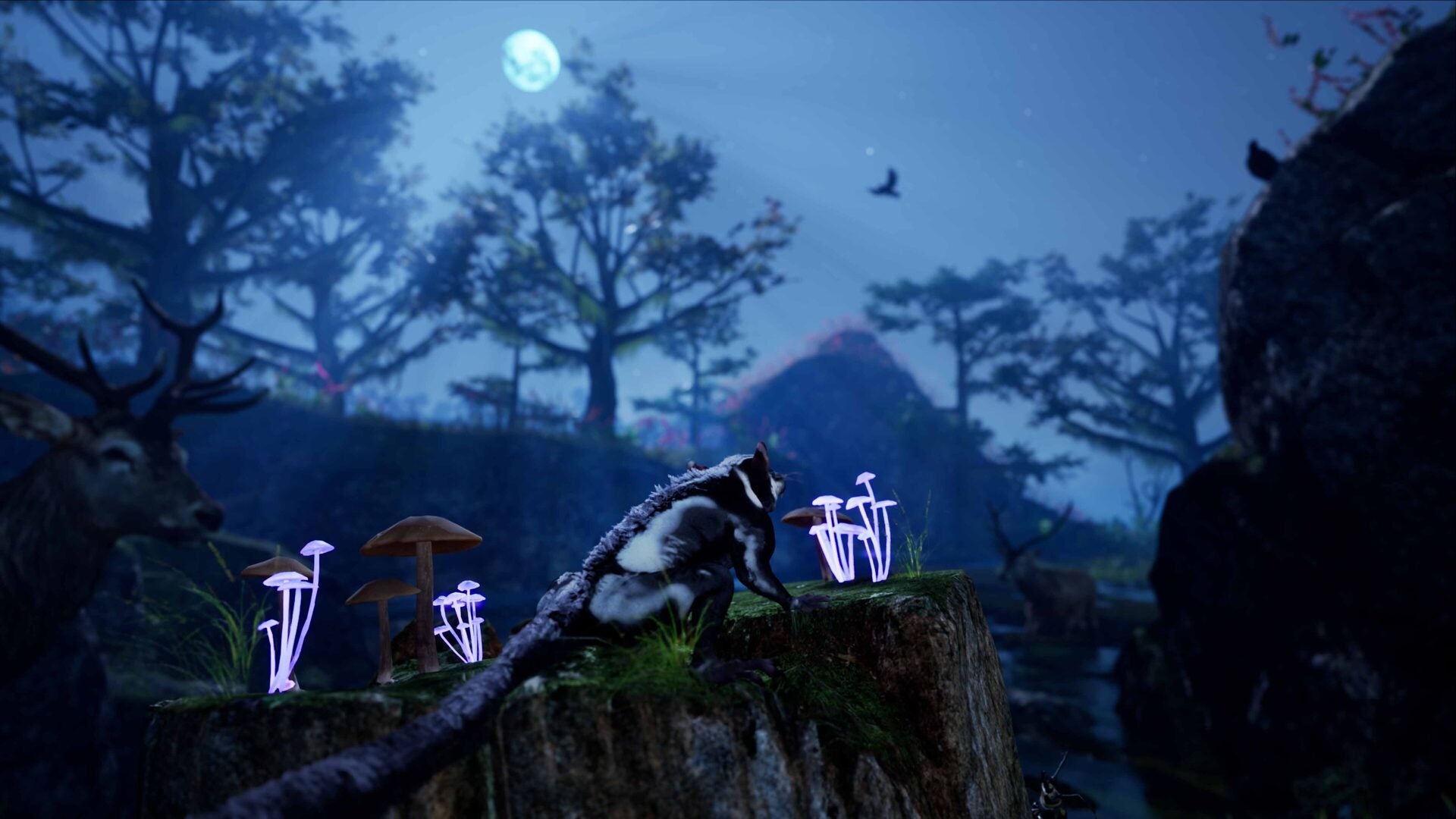 Away: The Survival Series - PS4