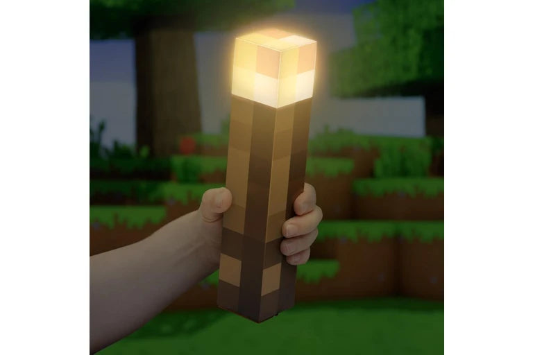 Minecraft Torch Light