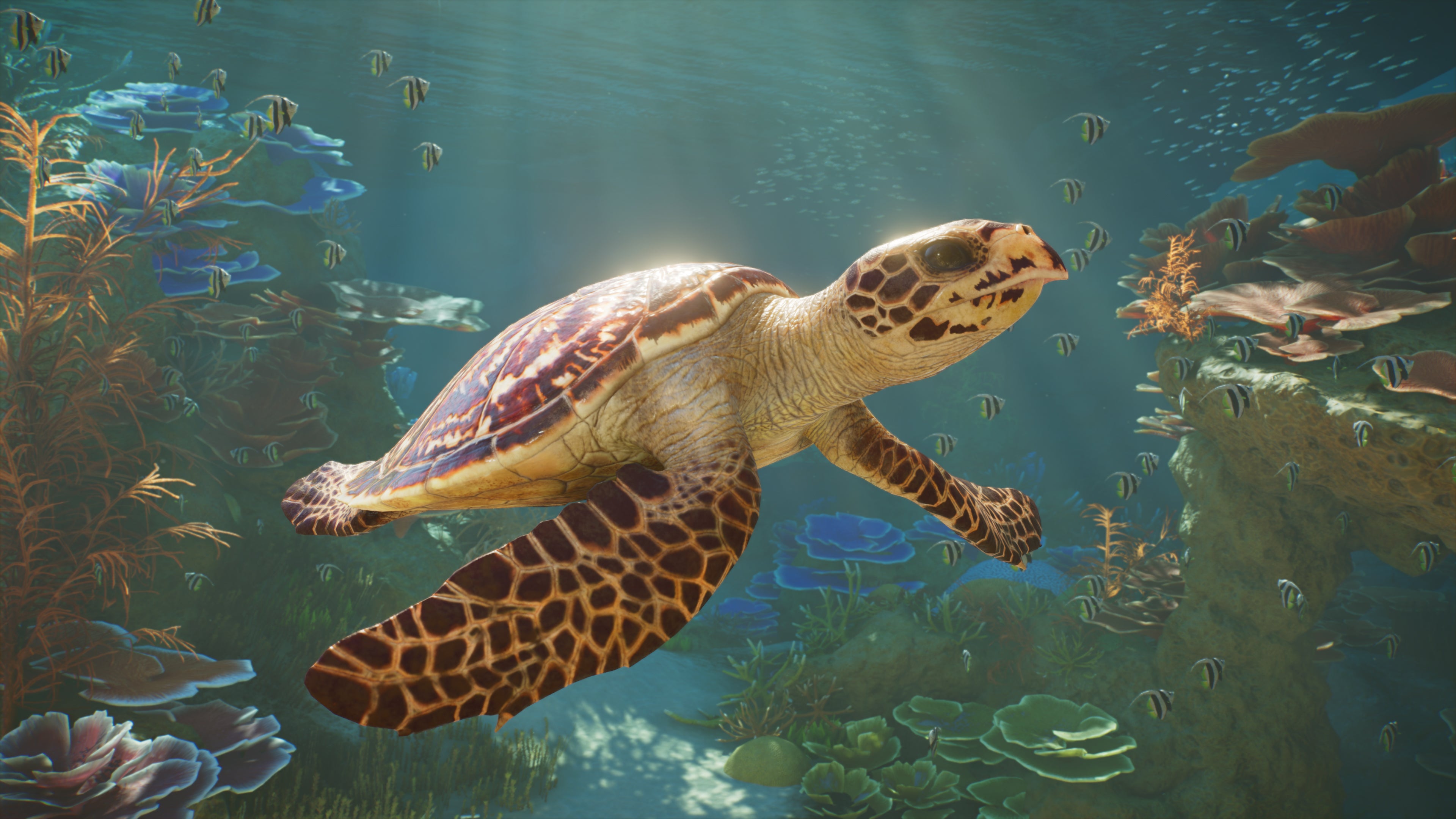 Planet Zoo 2 - PS5