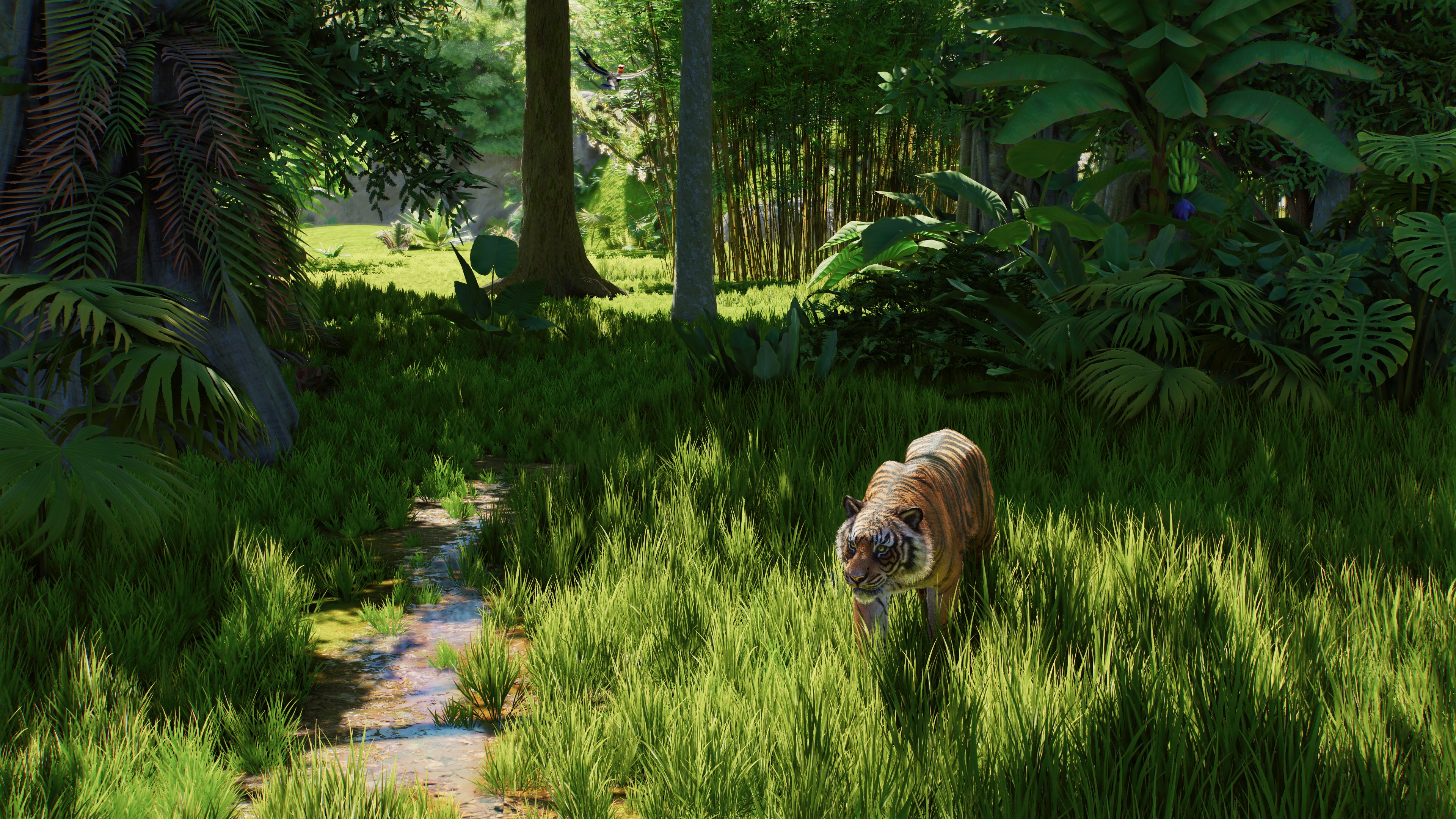 Planet Zoo 2 - PS5