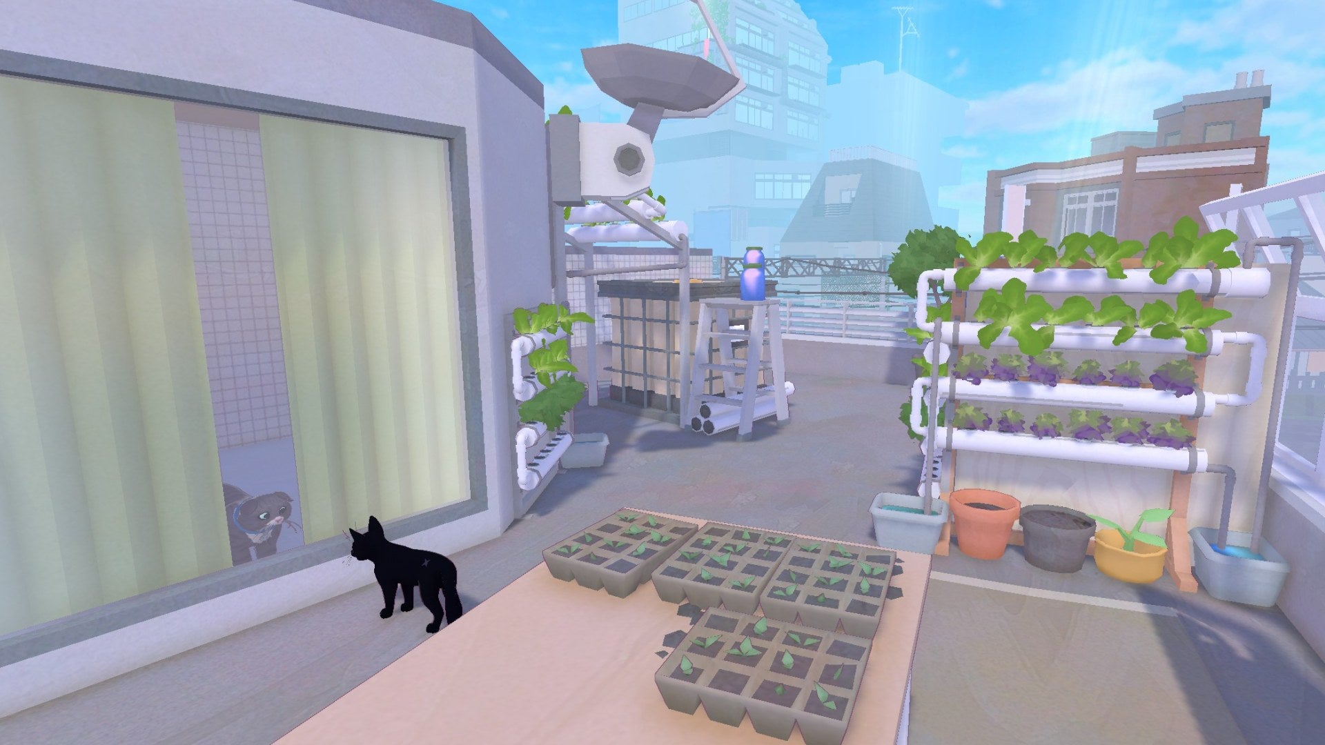 Little Kitty, Big City