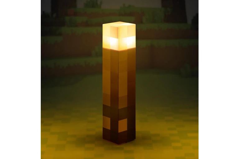 Minecraft Torch Light