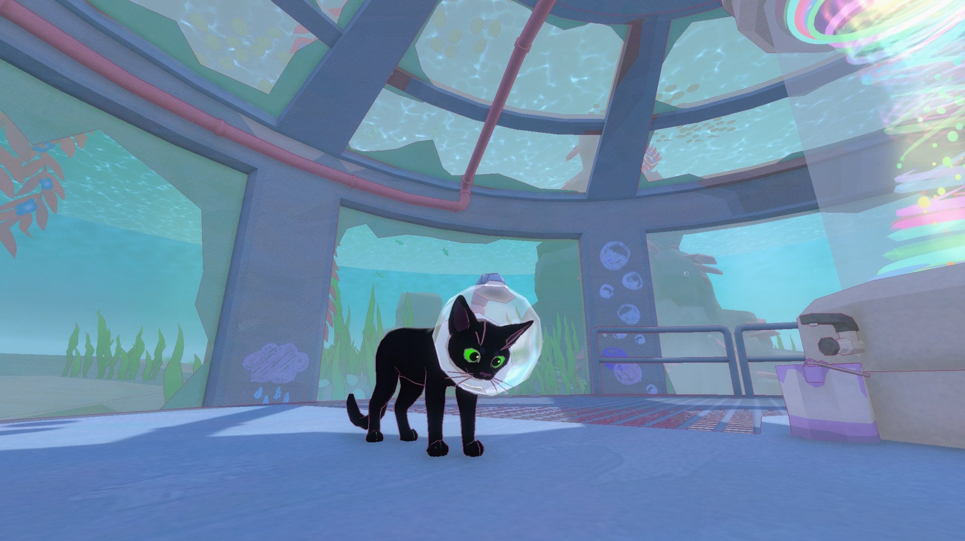 Little Kitty, Big City