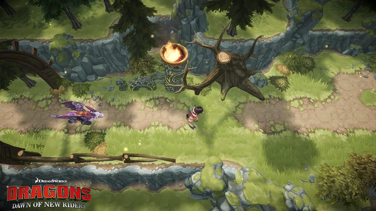 Dragons: Dawn of the New Riders - PS4
