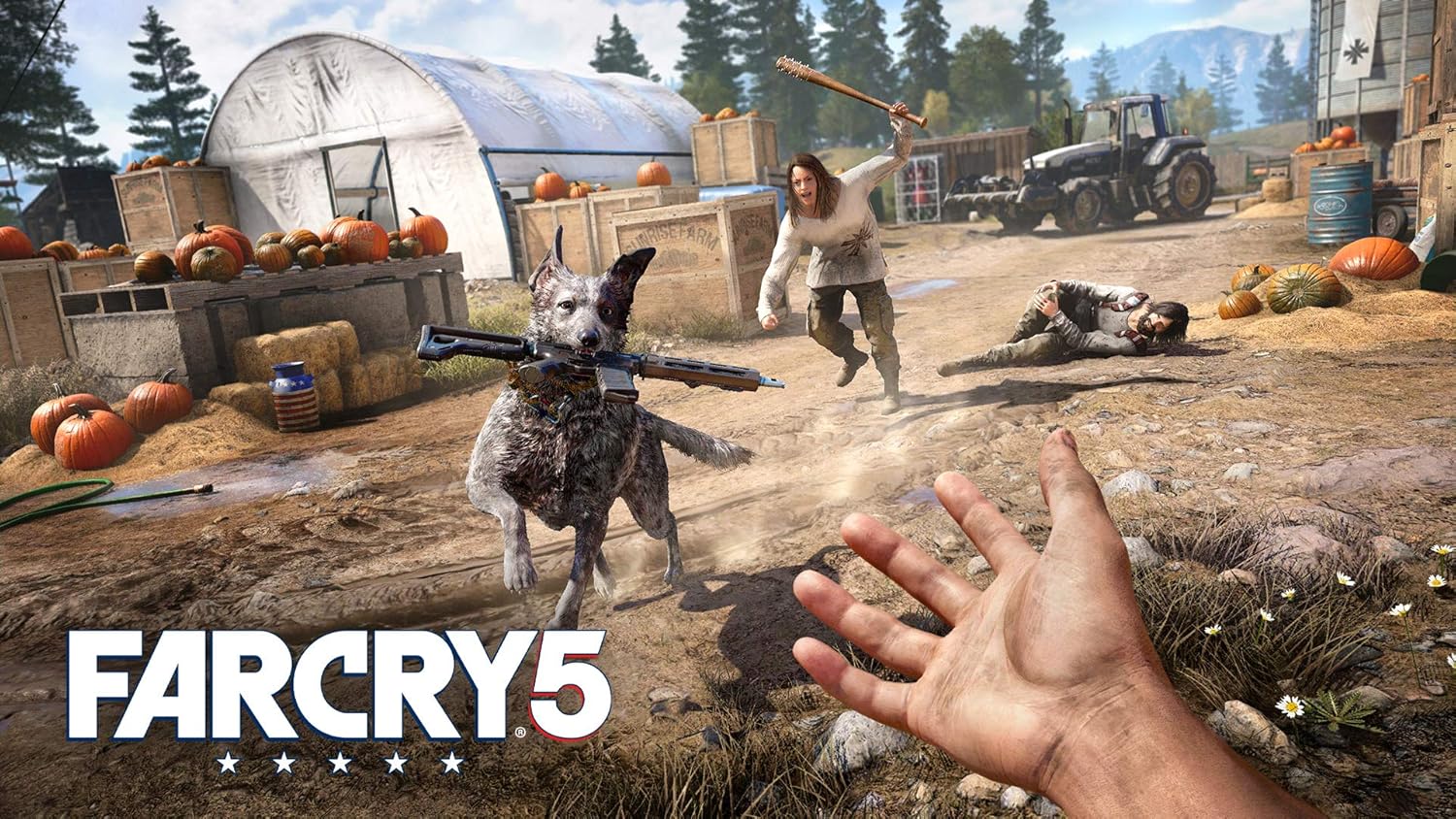 Far Cry 4 & Far Cry 5 (Double Pack) - PS4