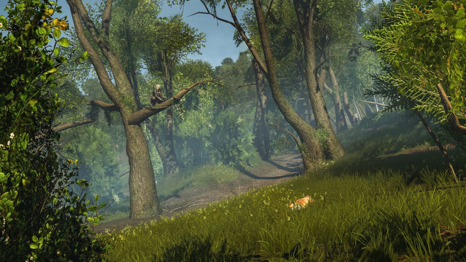 Assassin’s Creed Rogue