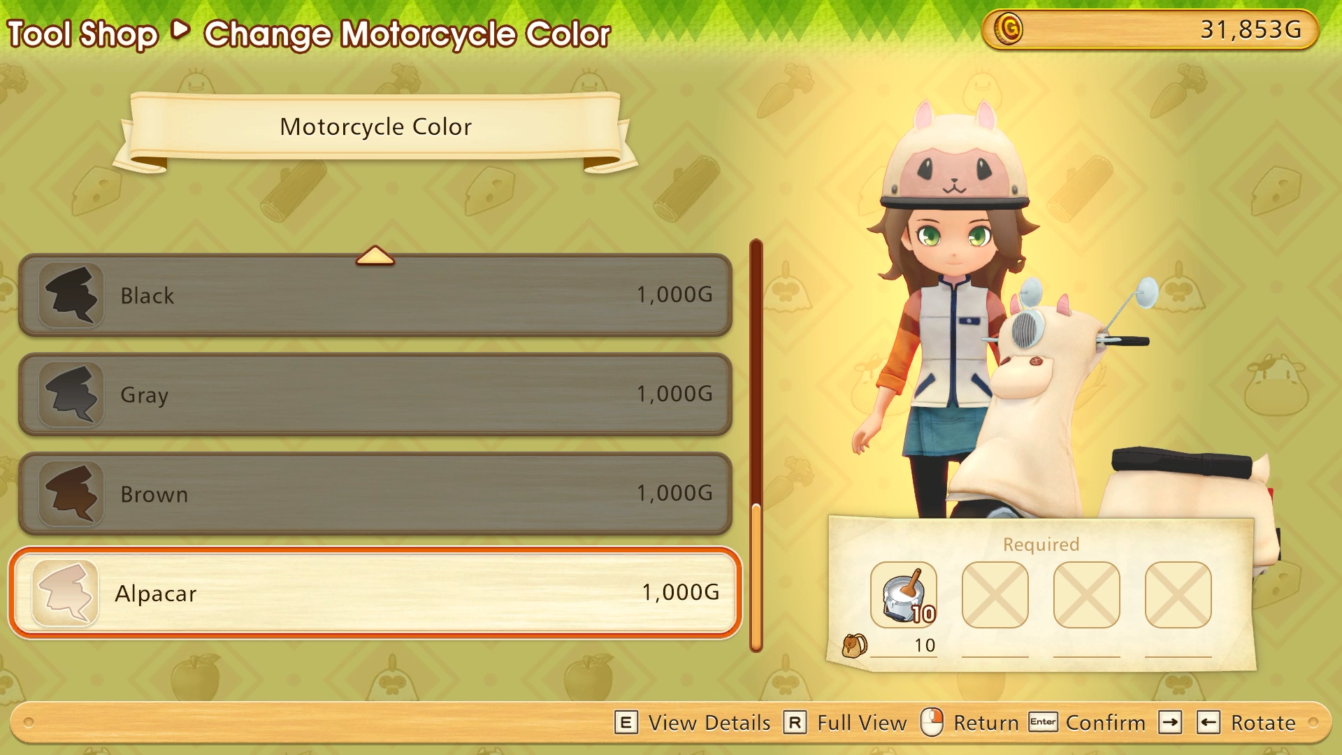 Story of Seasons: Friends of Mineral Town