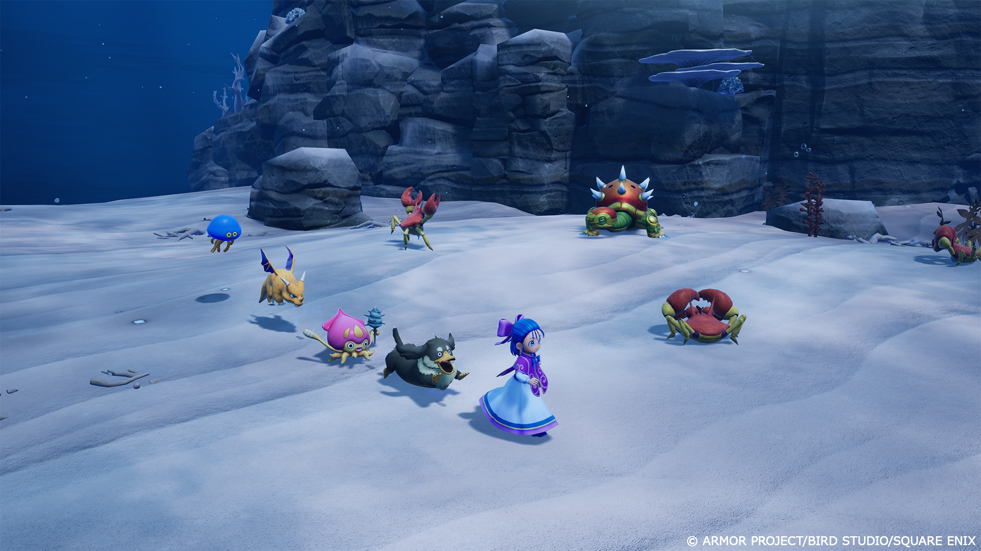 DRAGON QUEST Monsters: The Withered World - PS5