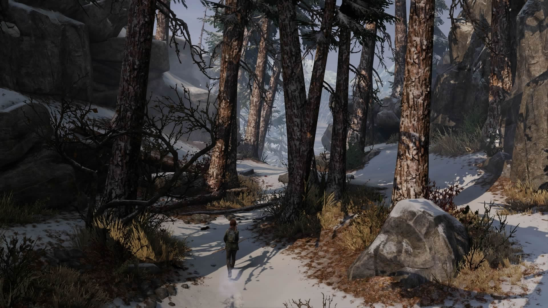 The Last of Us Remastered