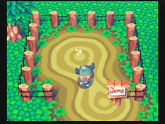 Animal Crossing