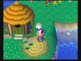 Animal Crossing