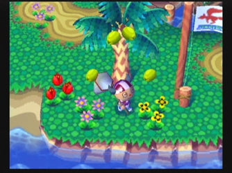 Animal Crossing