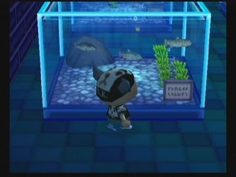 Animal Crossing