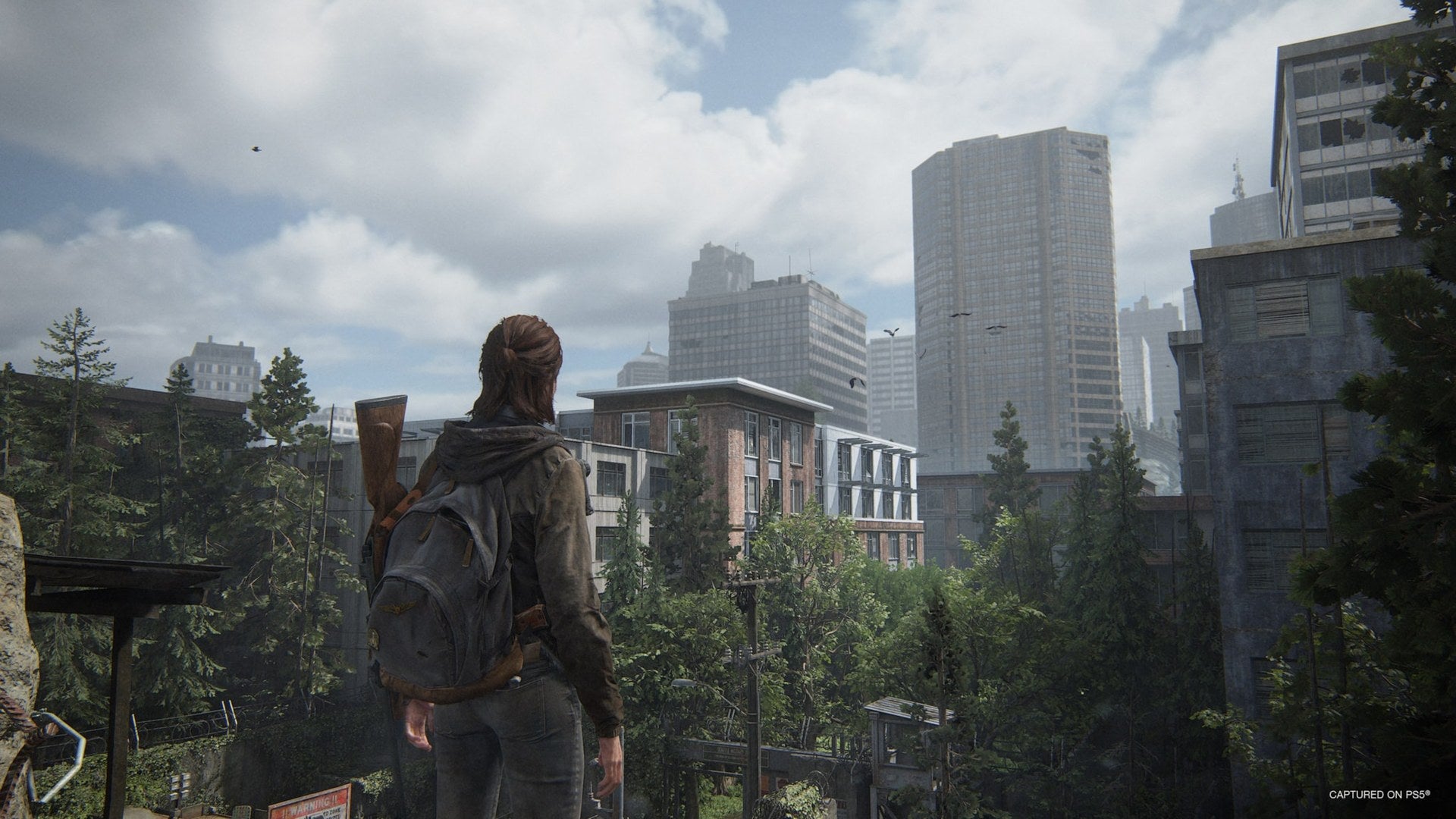 The Last of Us Part II