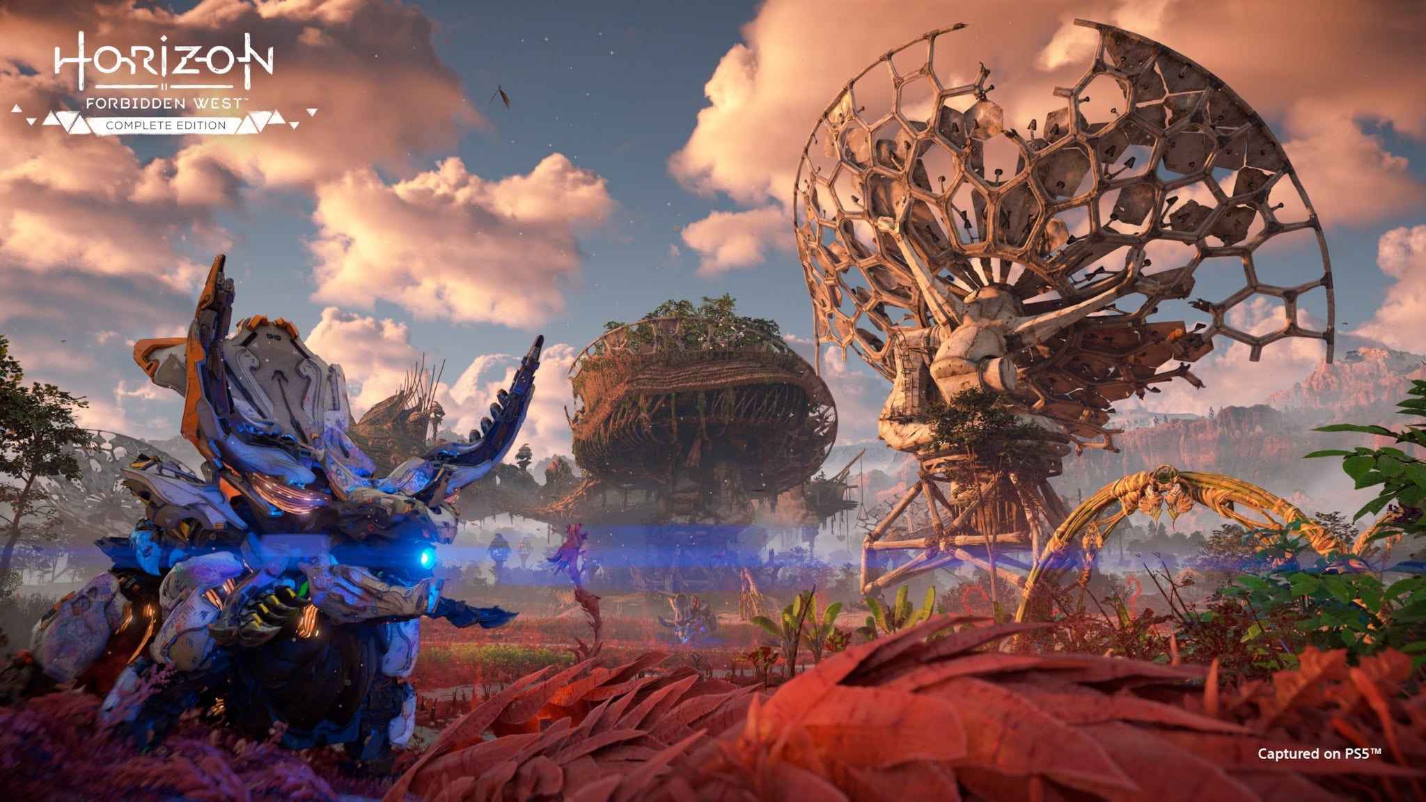 Horizon: Forbidden West