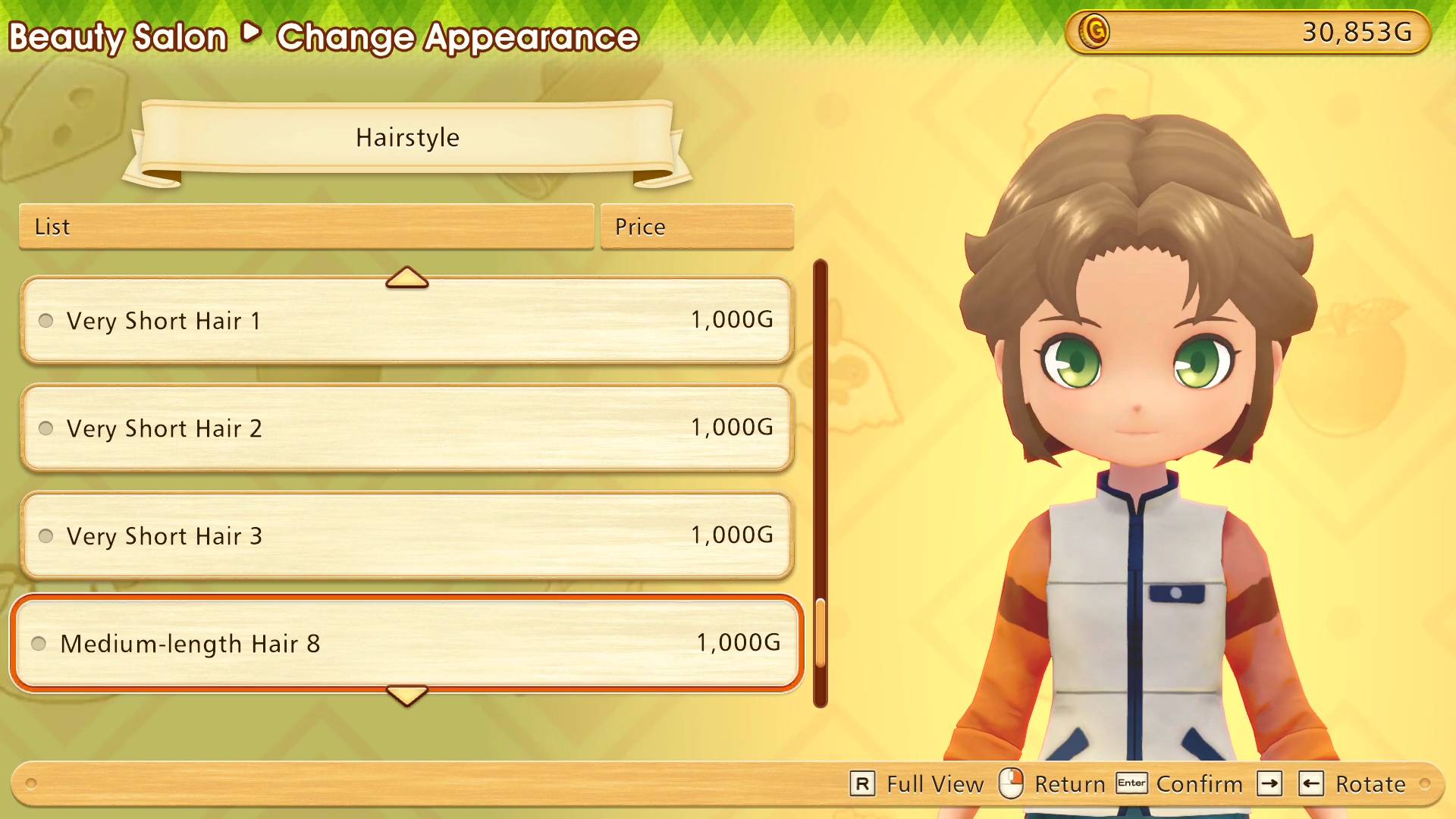 Story of Seasons: Friends of Mineral Town