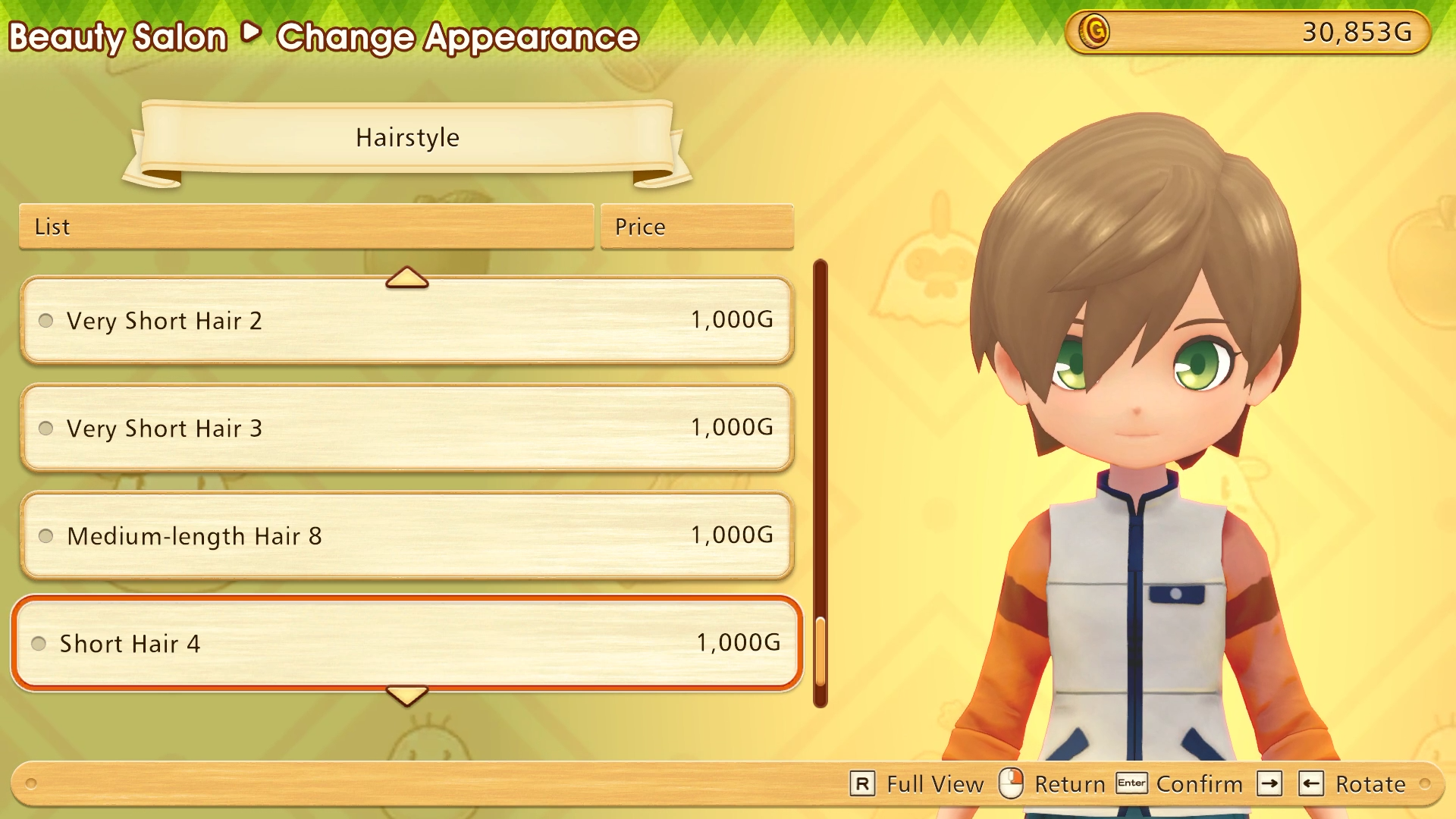 Story of Seasons: Friends of Mineral Town