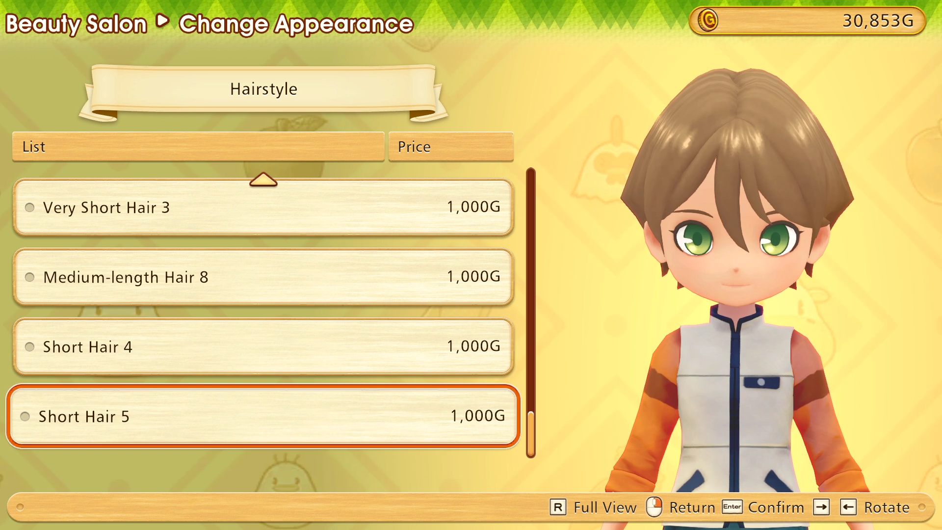 Story of Seasons: Friends of Mineral Town