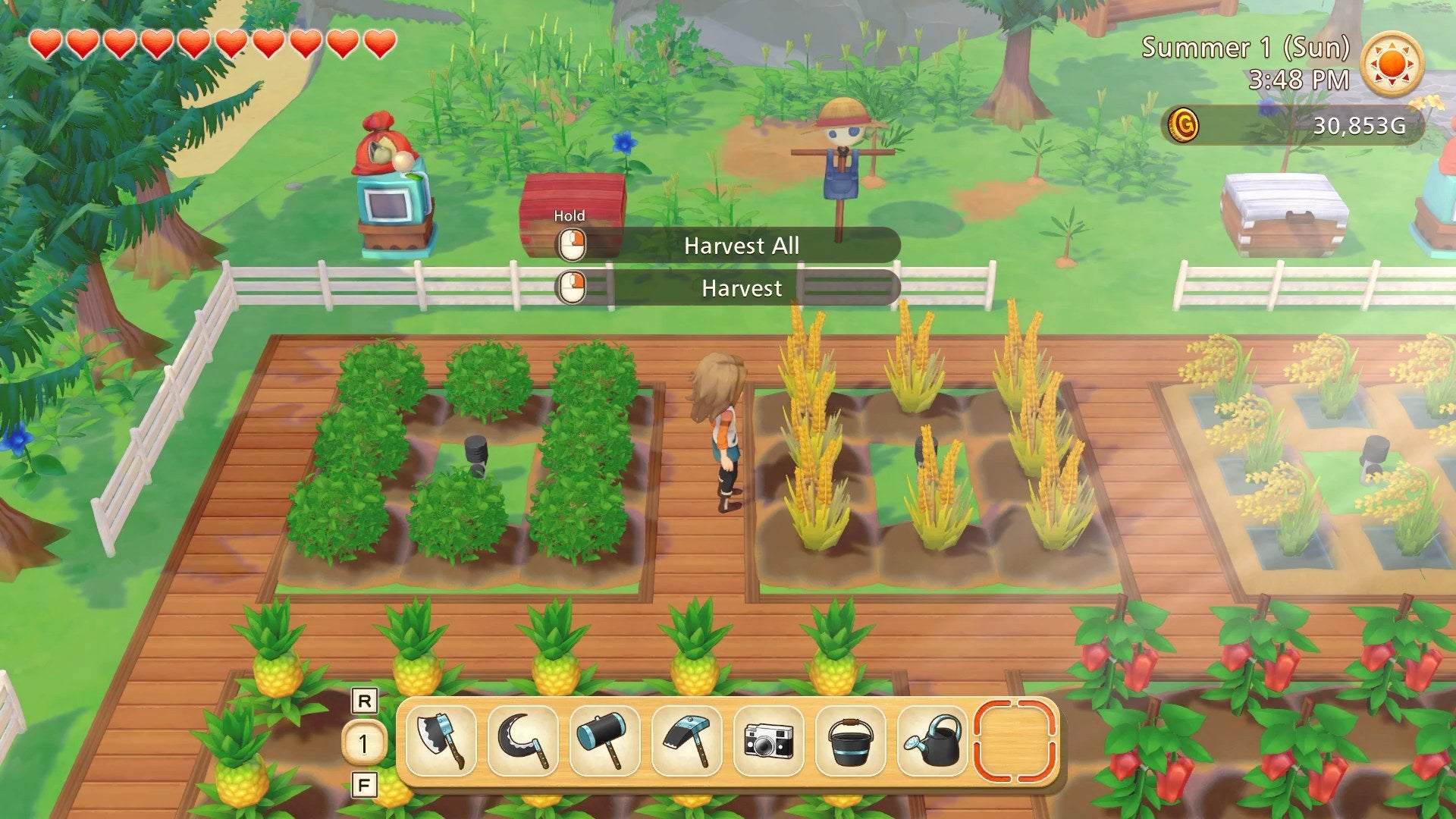 Story of Seasons: Pioneers of Olive Town