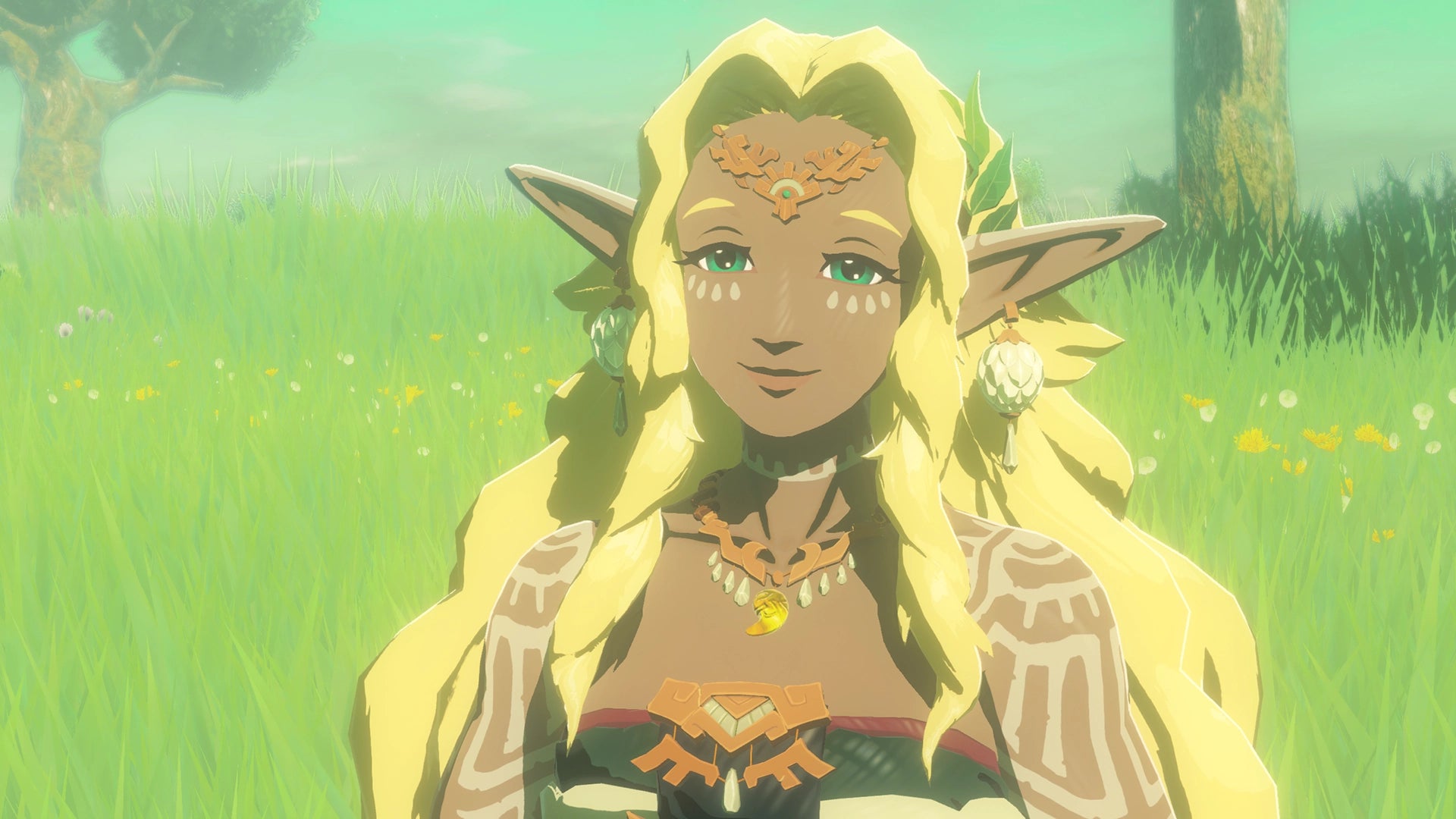 Hyrule Warriors Age of Imprisonment - Nintendo Switch 2