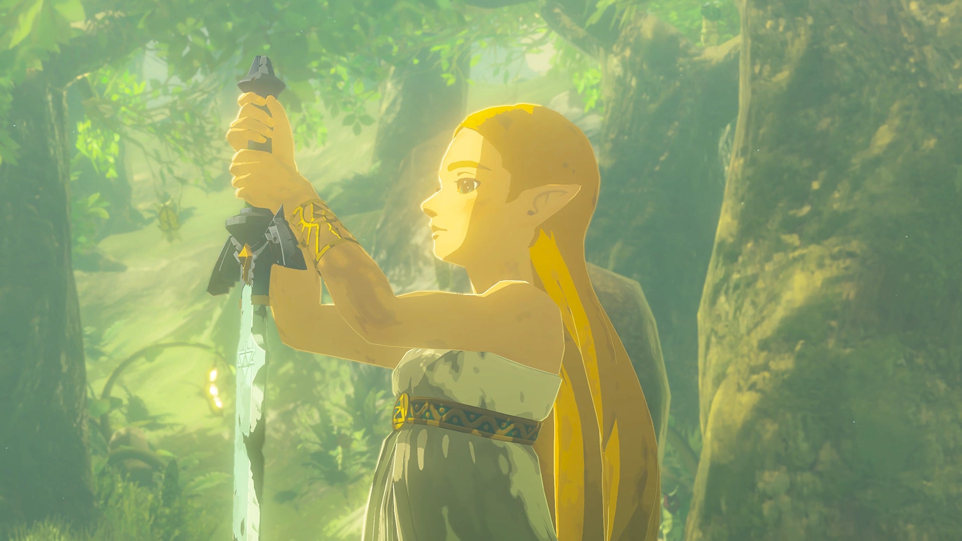 The Legend of Zelda Breath of the Wild - Nintendo Switch 2