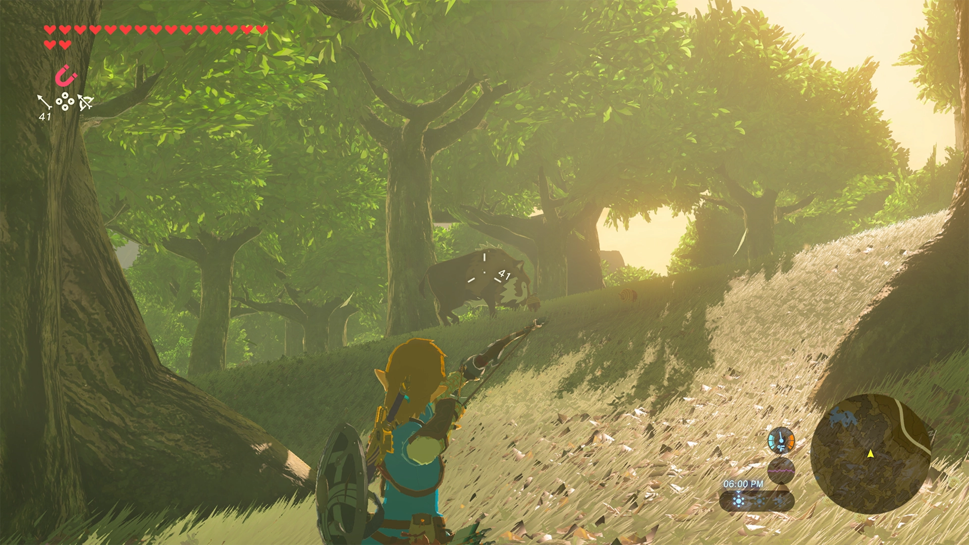 The Legend of Zelda Breath of the Wild - Nintendo Switch 2