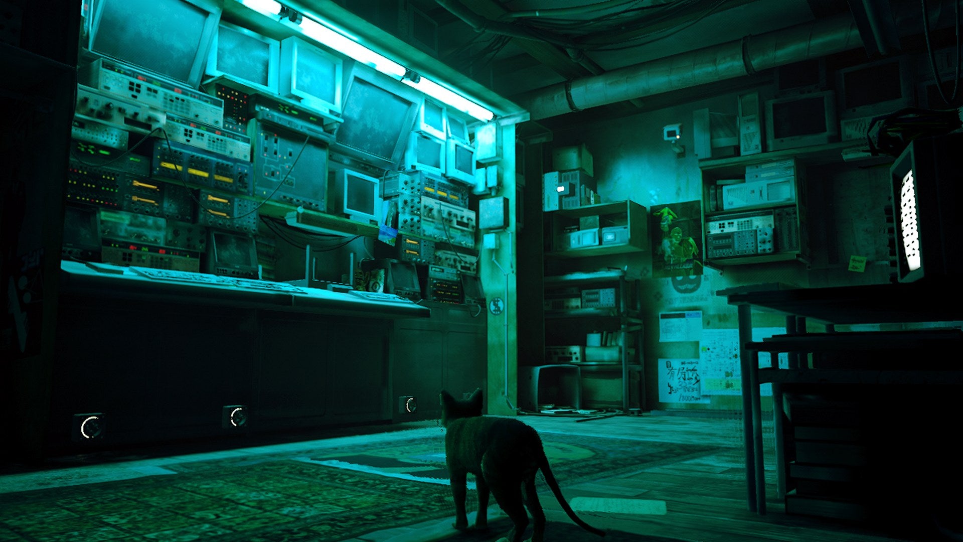 Stray
