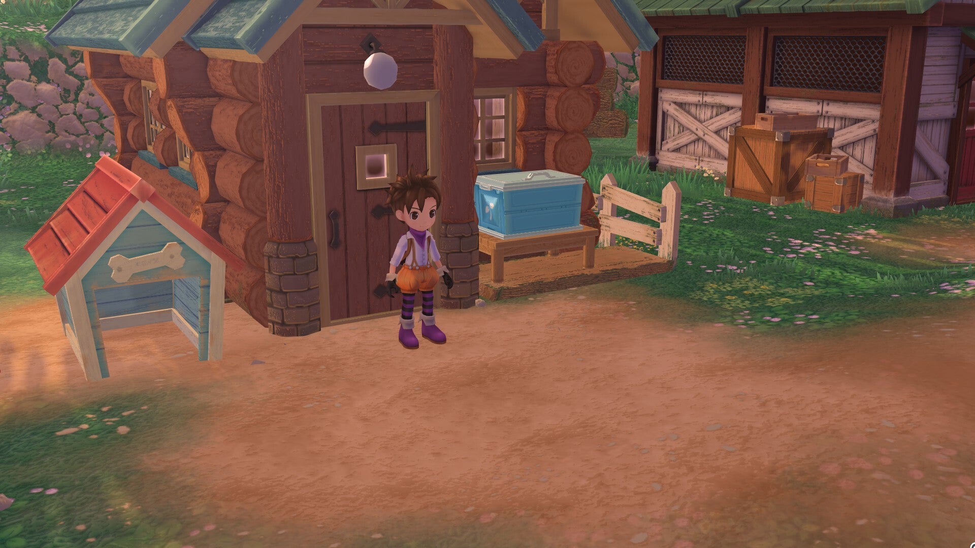 STORY OF SEASONS: A Wonderful Life