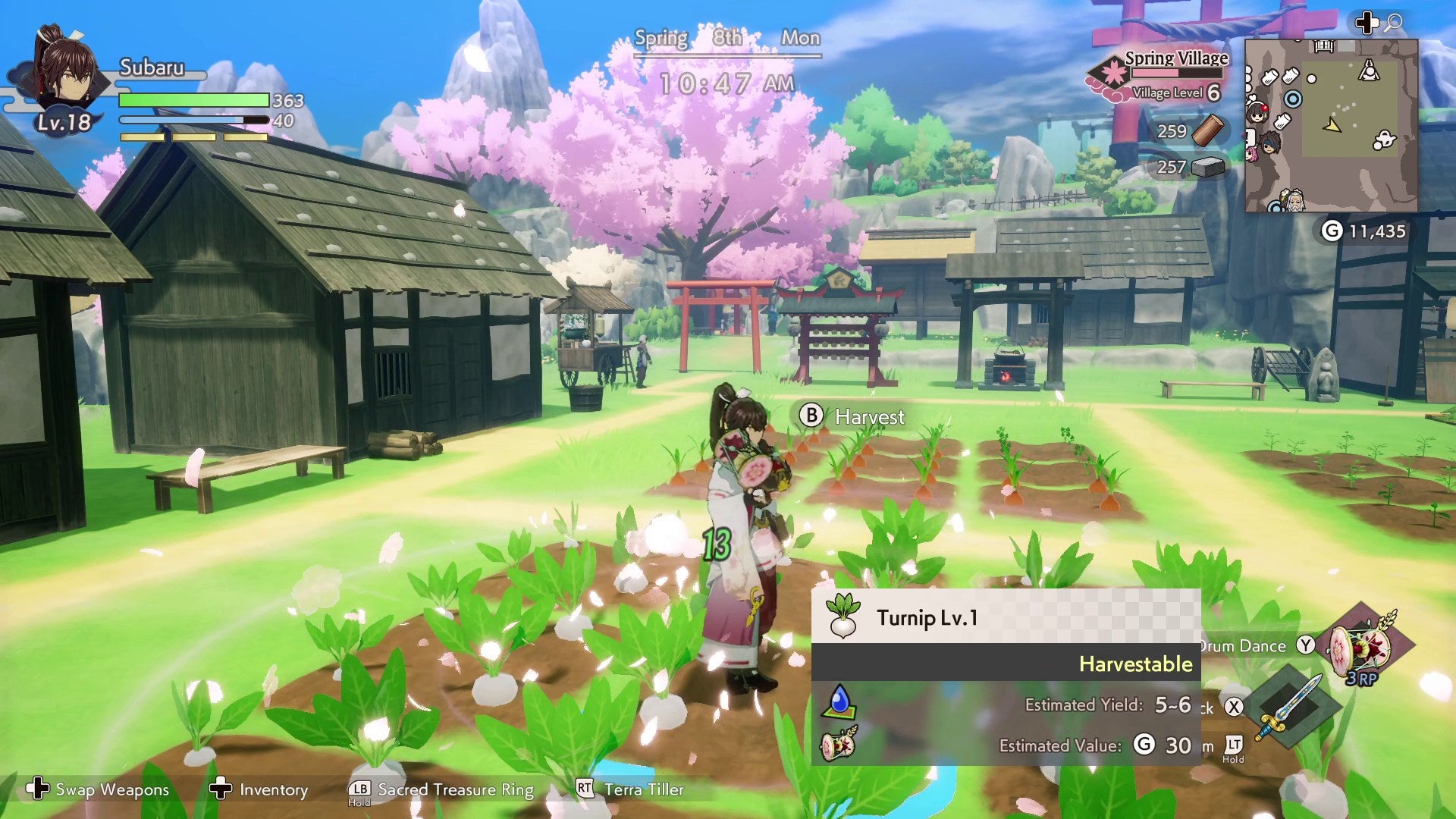 Rune Factory: Guardians of Azuma