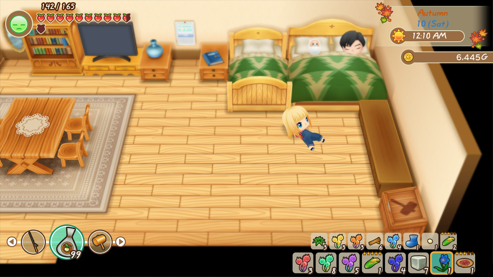 Story of Seasons: Friends of Mineral Town