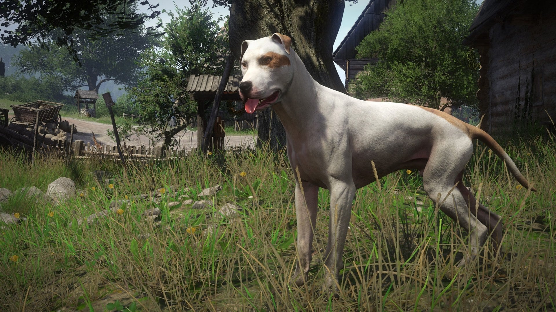Kingdom Come: Deliverance