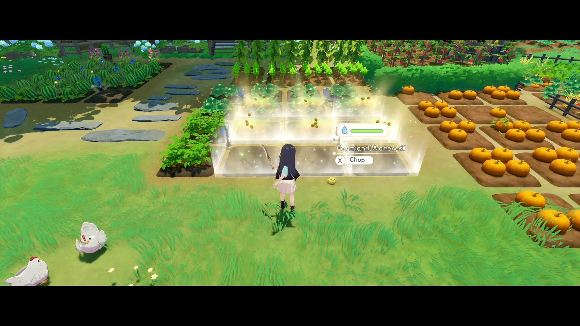 Starsand Island - PS5