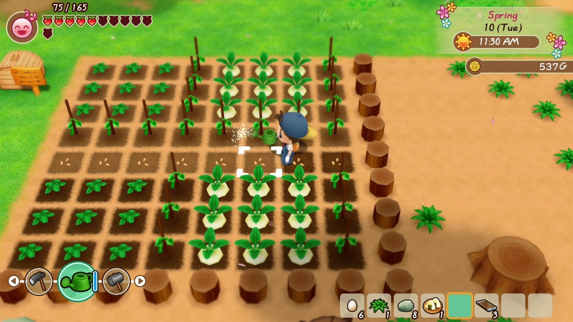 Story of Seasons: Friends of Mineral Town