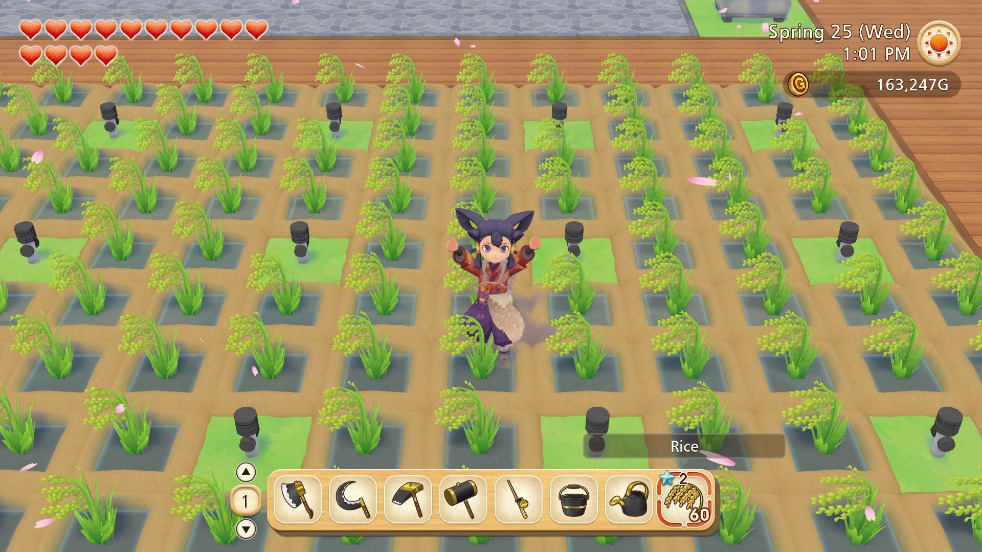 Story of Seasons: Friends of Mineral Town