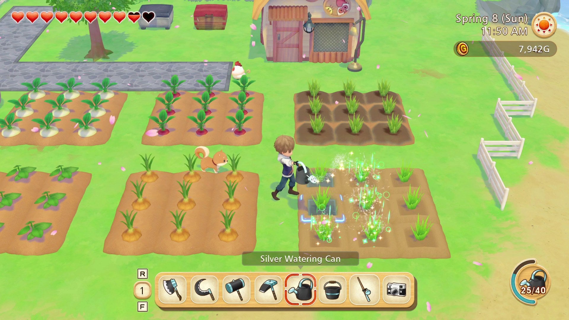 Story of Seasons: Friends of Mineral Town