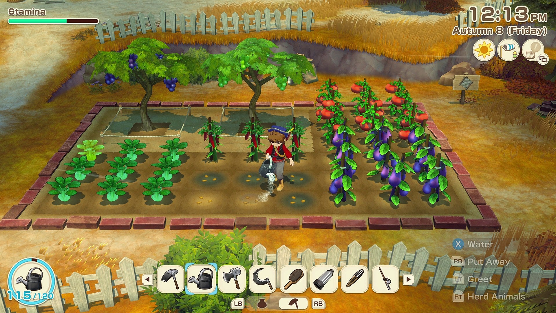 STORY OF SEASONS: Grand Bazaar
