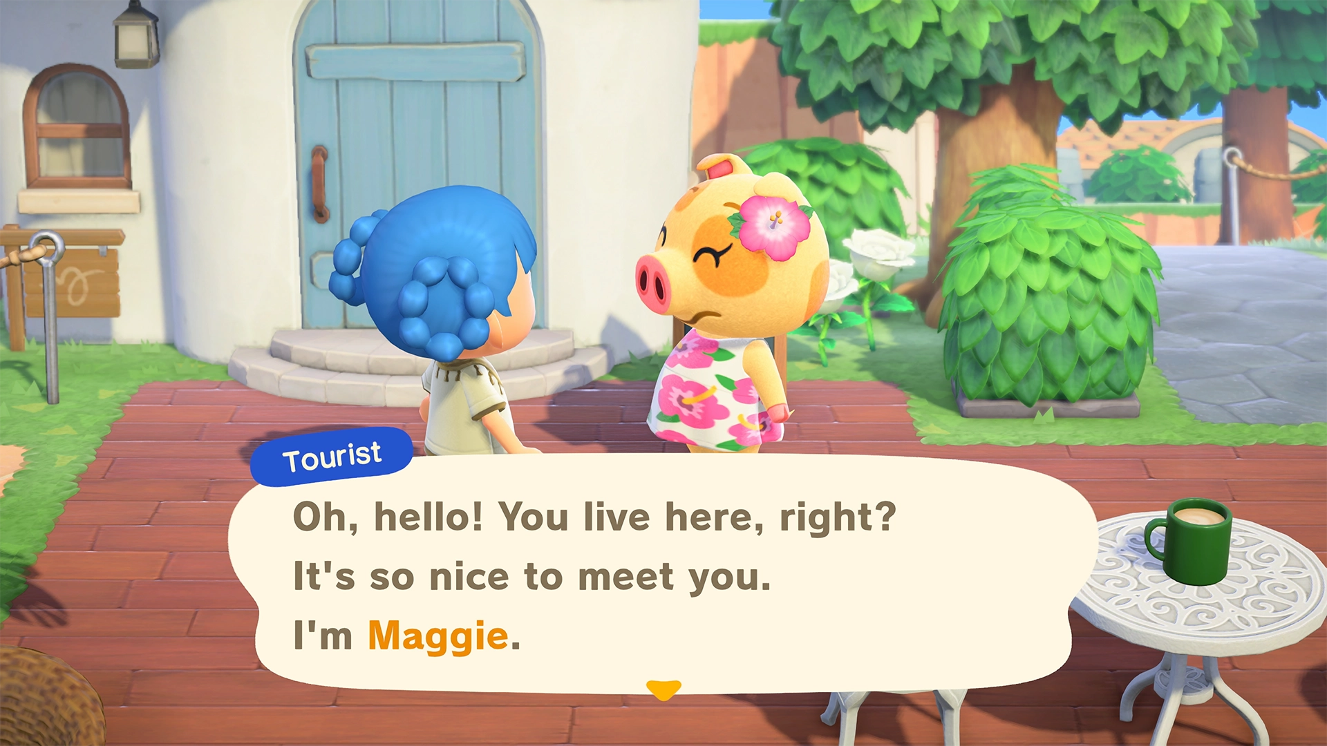 Animal Crossing: New Horizons - Nintendo Switch