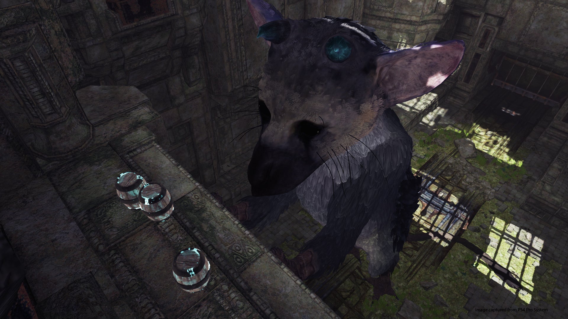 The Last Guardian
