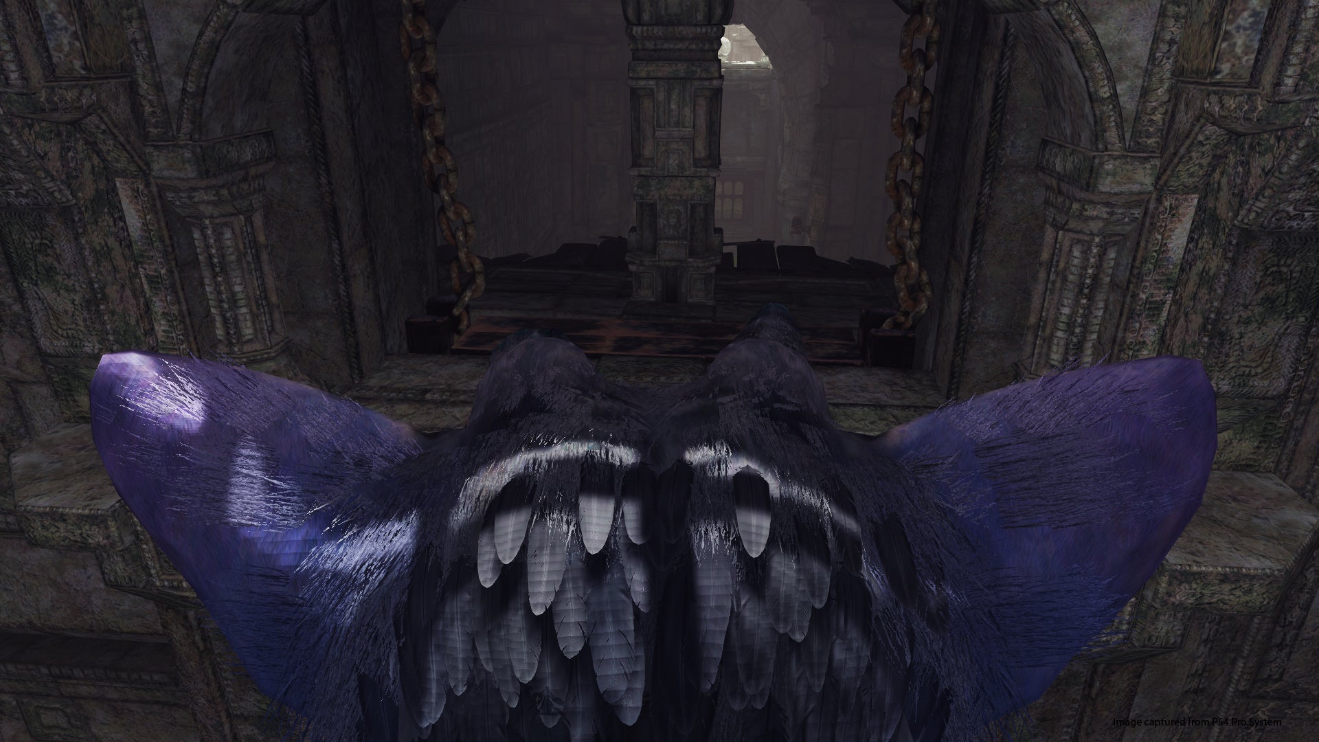 The Last Guardian