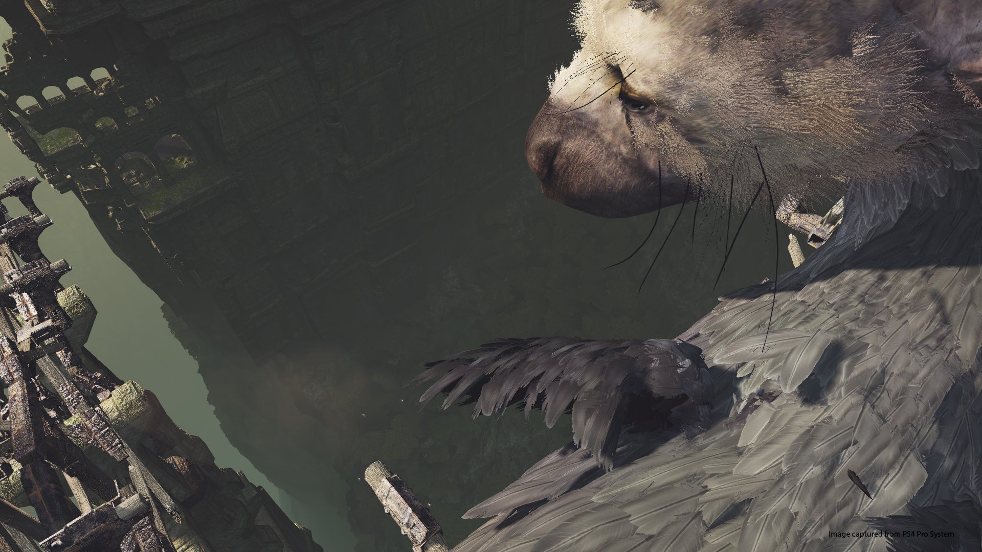The Last Guardian