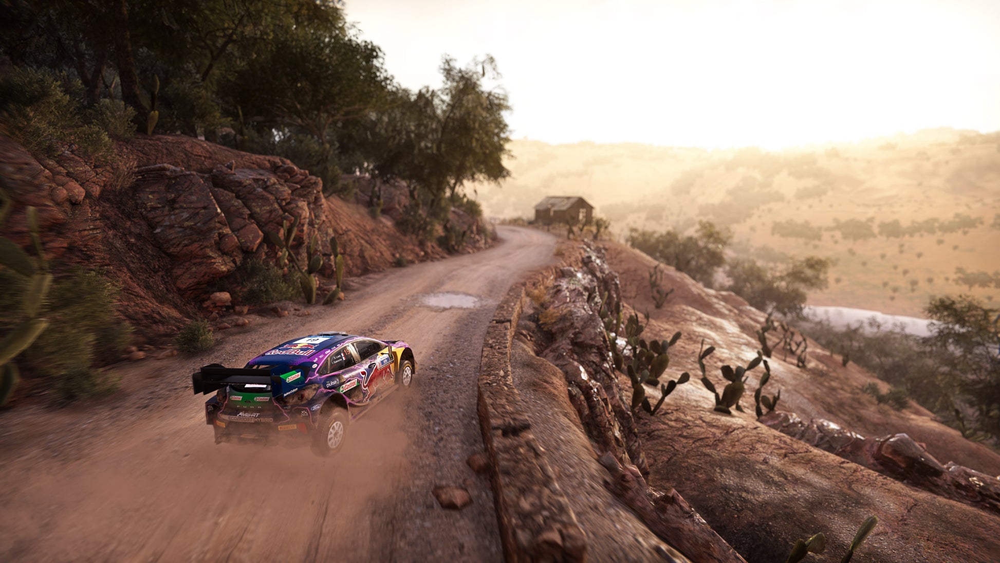 WRC Generations - PS5