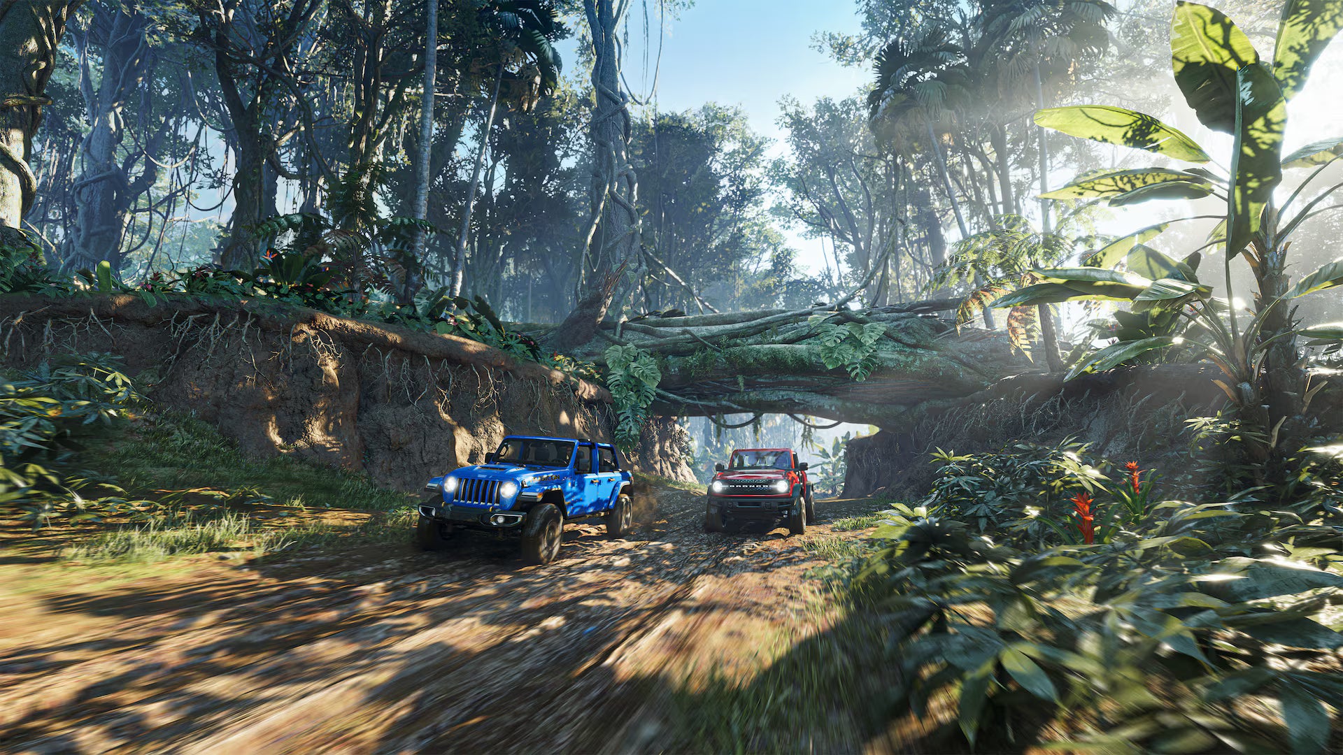 The Crew: Motorfest - PS4