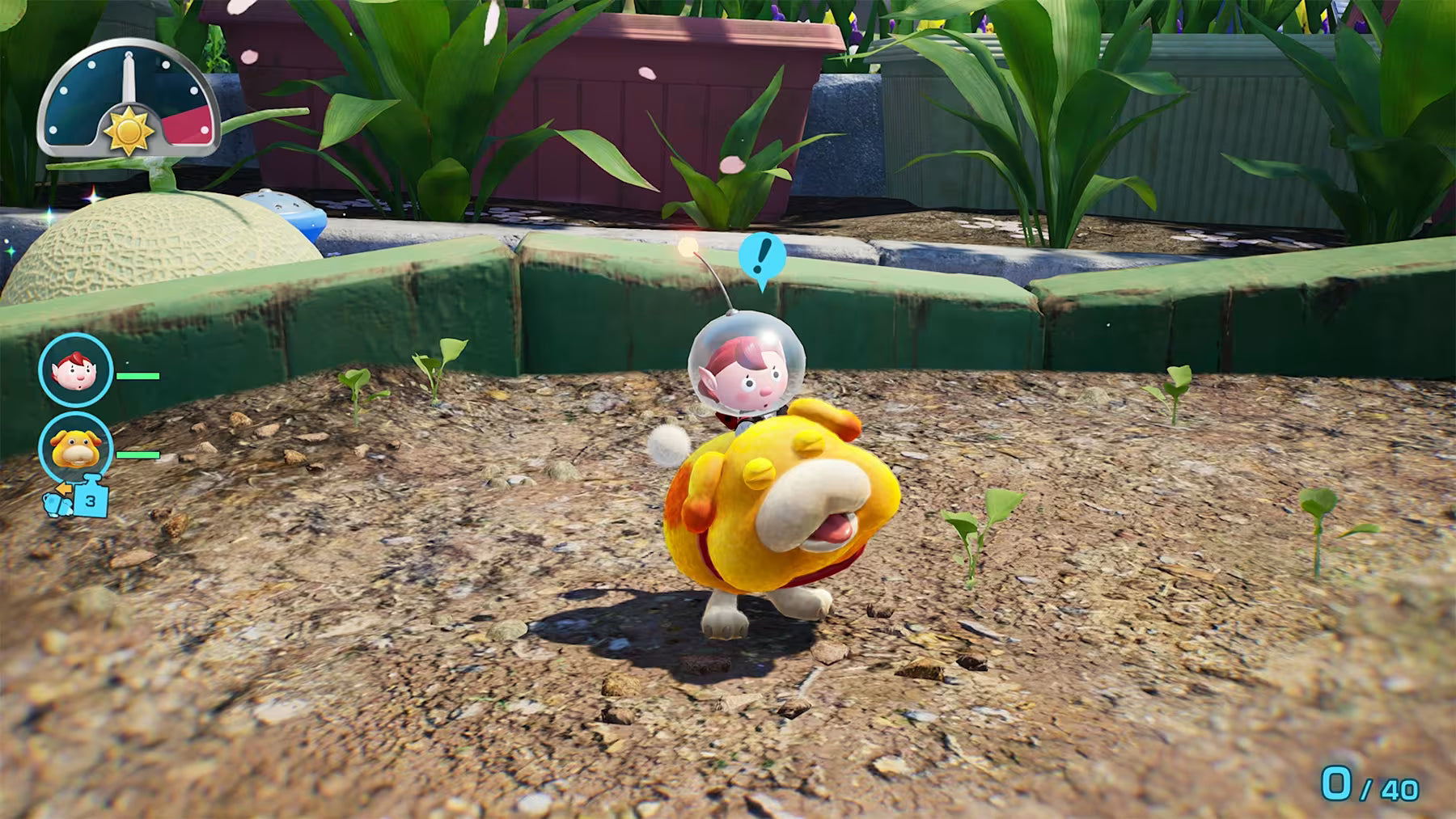 Pikmin 4: Nintendo Switch 2 Edition + Dandori Academy - Nintendo Switch 2