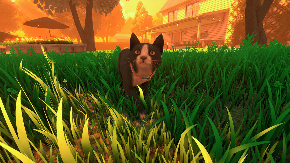 COPYCAT - PS5