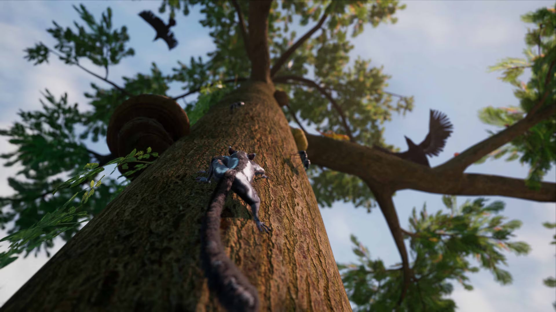 Away: The Survival Series - PS4