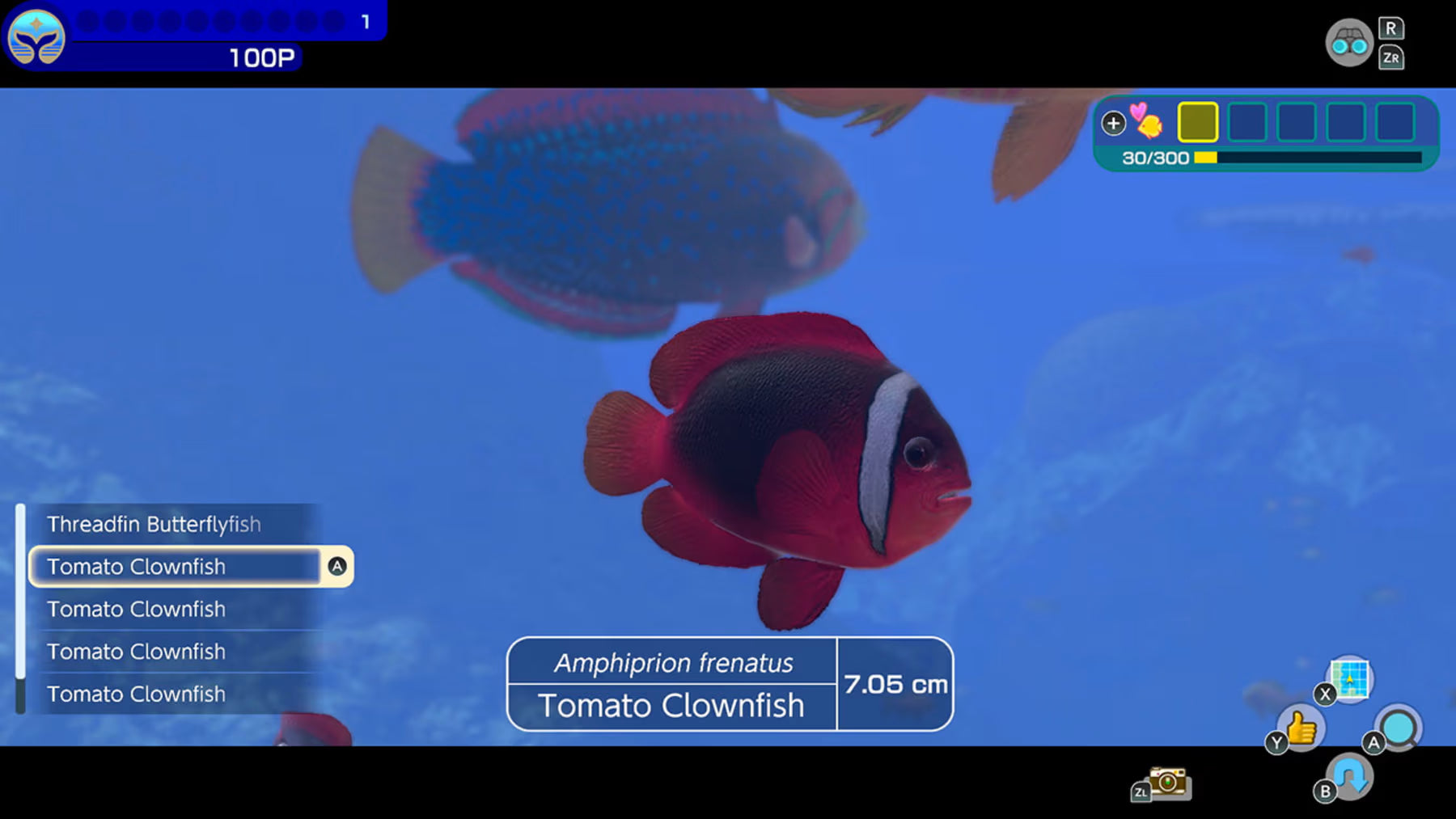 Endless Ocean Luminous - Nintendo Switch