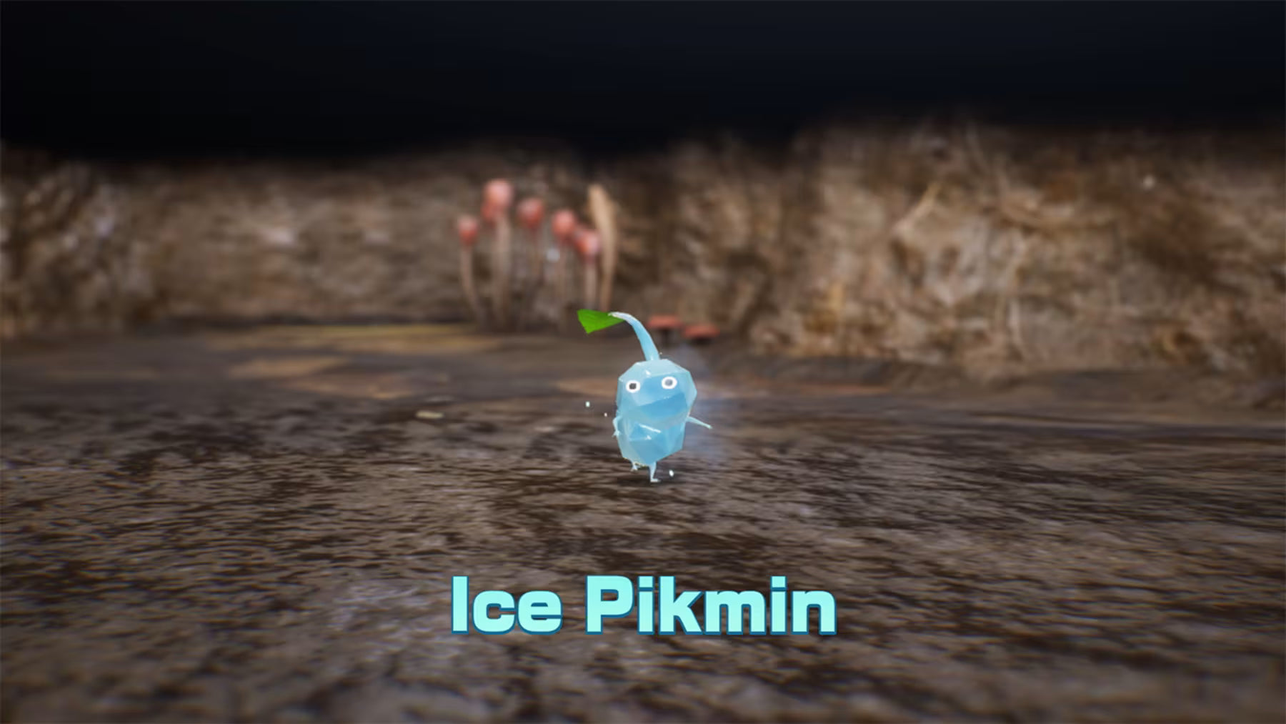 Pikmin 4: Nintendo Switch 2 Edition + Dandori Academy - Nintendo Switch 2