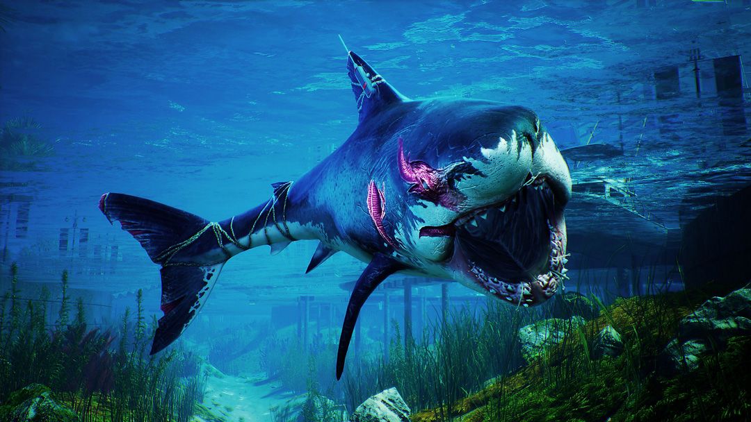 Maneater - Xbox One & Xbox Series X