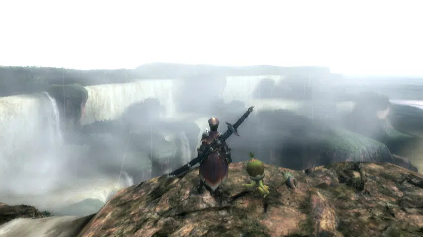 Monster Hunter 3: Tri - Nintendo Wii