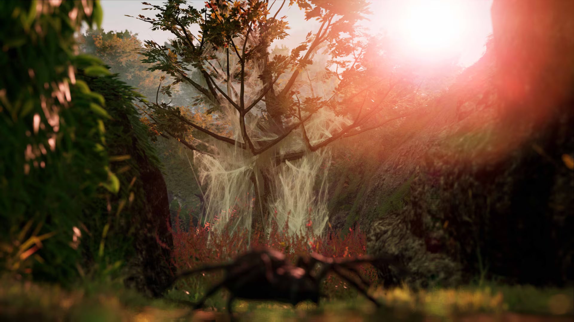 Away: The Survival Series - PS4